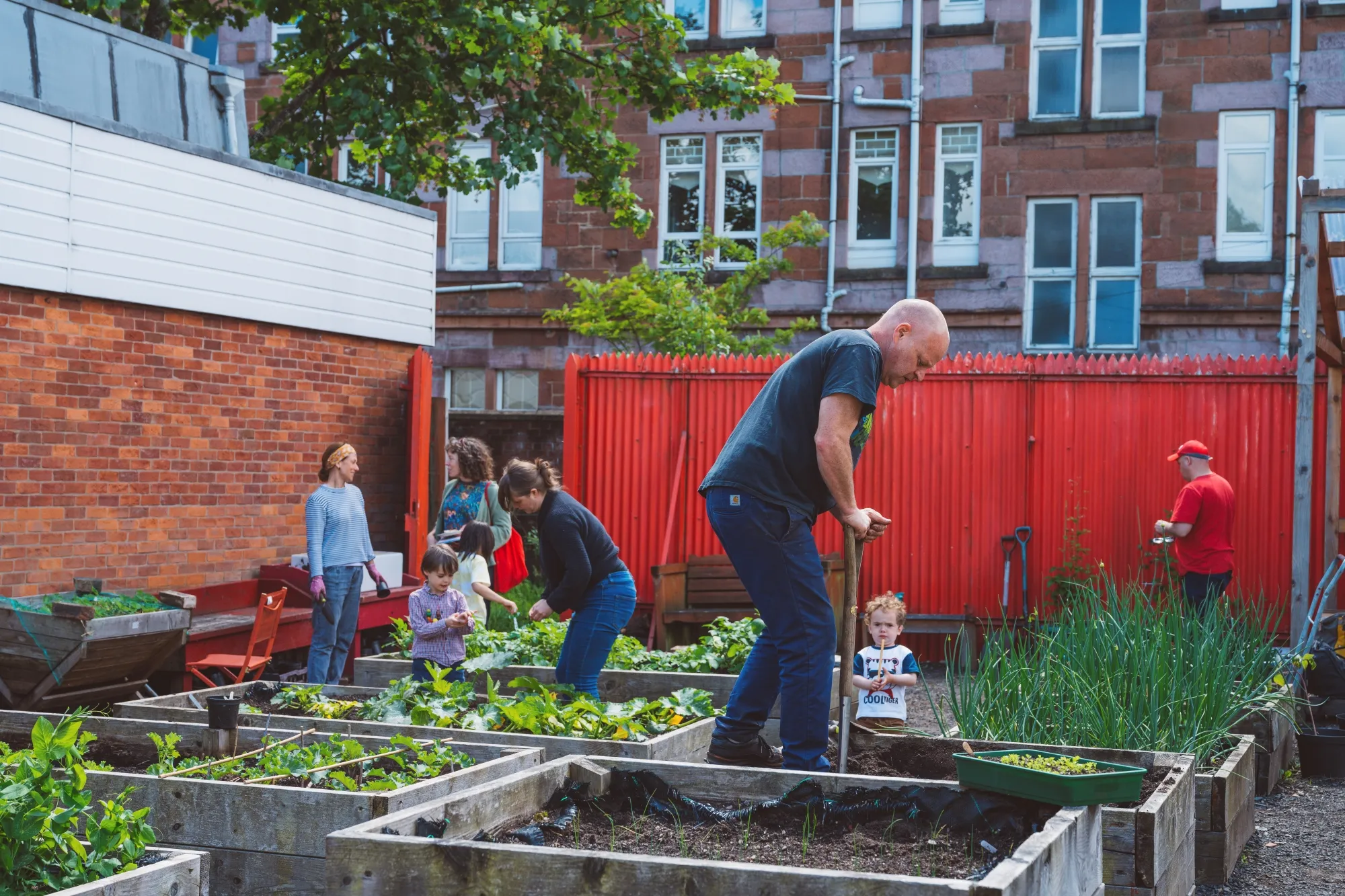 People digging in raised beds and planting things in a community garden.